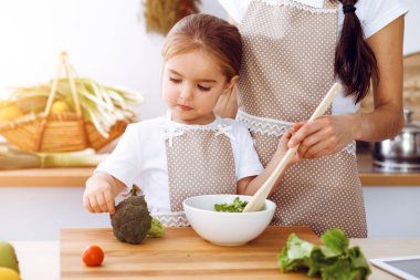 Mutlu kadın ve kızı güneşli mutfakta aile ziyafeti için sağlıklı vejetaryen salatası ve atıştırmalıklar yapıyorlar. Noel, yeni yıl, Şükran Günü, yıldönümü, anneler günü. Sağlıklı yemek pişirme kavramı.