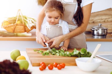 Mutlu kadın ve kızı güneşli mutfakta aile ziyafeti için sağlıklı vejetaryen salatası ve atıştırmalıklar yapıyorlar. Noel, yeni yıl, Şükran Günü, yıldönümü, anneler günü. Sağlıklı yemek pişirme kavramı.
