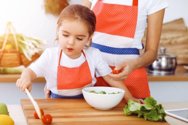 Mutlu kadın ve kızı güneşli mutfakta aile ziyafeti için sağlıklı vejetaryen salatası ve atıştırmalıklar yapıyorlar. Noel, yeni yıl, Şükran Günü, yıldönümü, anneler günü. Sağlıklı yemek pişirme kavramı.