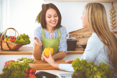 İki kadın arkadaş mutfak masasında otururken lezzetli bir yemeğin tarifini ve malzemelerini seçiyor. Vejetaryen konsepti.