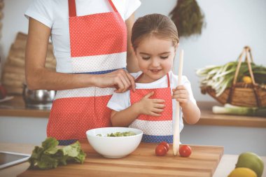 Mutlu kadın ve kızı aile ziyafeti için sağlıklı vejetaryen salatası ve atıştırmalıklar yapıyorlar. Noel, yeni yıl, Şükran Günü, yıldönümü, anneler günü. Sağlıklı yemek pişirme kavramı.