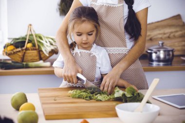 Mutlu kadın ve kızı aile ziyafeti için sağlıklı vejetaryen salatası ve atıştırmalıklar yapıyorlar. Noel, yeni yıl, Şükran Günü, yıldönümü, anneler günü. Sağlıklı yemek pişirme kavramı.