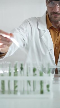 Laboratuvar önlüğü, beyaz eldiven ve koruyucu gözlük giyen bilim adamı, bir pipetten damlayan sıvıyı, içinde dikey yakın görüş olan yeşil bir bitki bulunan bir test tüpüne döküyor. Bilim ve tıp.