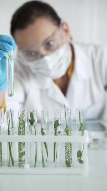 Laboratuvar önlüğü, mavi eldiven, yüz maskesi ve koruyucu gözlük takan kadın bilim adamı, içinde bitkiler olan dikey portre manzaralı bir test tüpü tutuyor. Bilim ve tıp kavramları.
