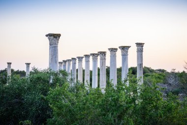 Kıbrıs'ta bulunan Salamis Antik şehir.
