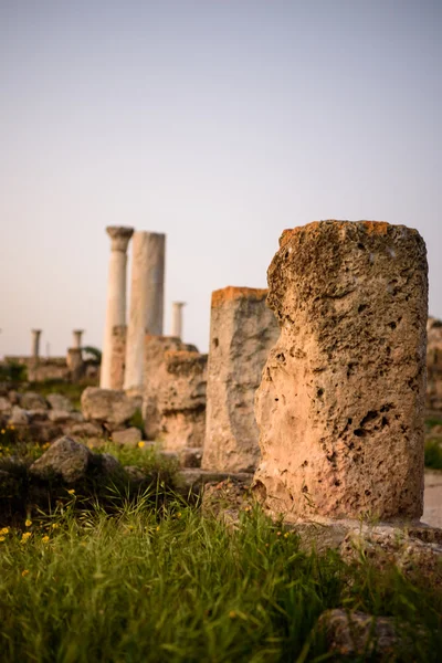 Kıbrıs doğu kesiminde bulunan Salamis Antik şehir. — Stok fotoğraf