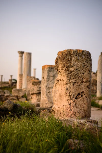 Kıbrıs doğu kesiminde bulunan Salamis Antik şehir. — Stok fotoğraf