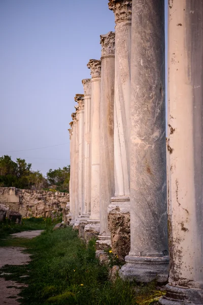 塞浦路斯萨拉米斯古城的支柱. — 图库照片