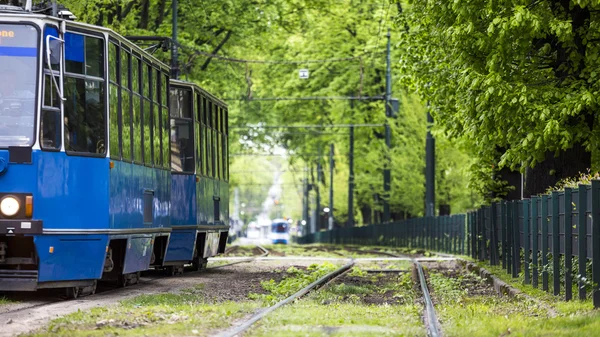 Blå spårvagn kör genom gröna gränd i Europeiska staden Krakow — Stockfoto