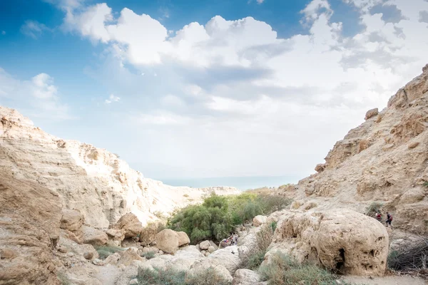 Каньон в заповеднике Эн-Геди и национальном парке, Израиль — стоковое фото