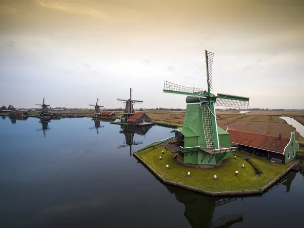 Windmills in The Netherlands - symbol of the country. — Stock Photo, Image