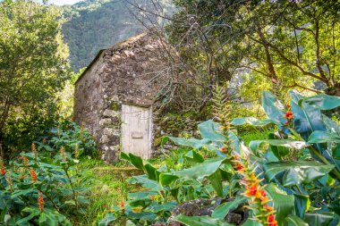 Sevimli, küçük binada Chao da Ribeira, Madeira