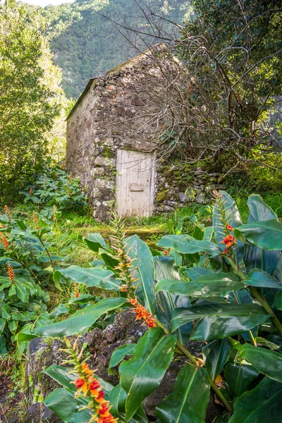 Söt, liten byggnad i Chao da Ribeira, Madeira — Stockfoto