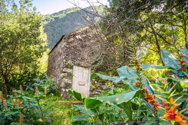 Söt, liten byggnad i Chao da Ribeira, Madeira — Stockfoto