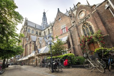 Saint Bavo kilisede Haarlem, Hollanda