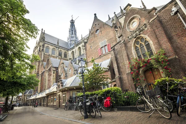 Saint Bavo kyrka i Haarlem, Nederländerna — Stockfoto