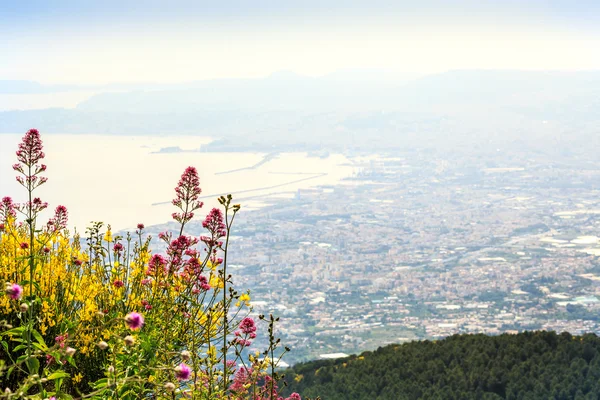 Napoli Vezüv Yanardağı, İtalya alınan Körfez — Stok fotoğraf