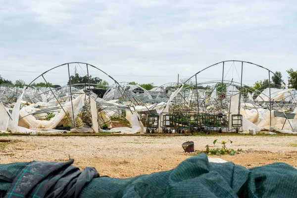 Estufas Destruídas Após Forte Vento Portugal — Fotografia de Stock