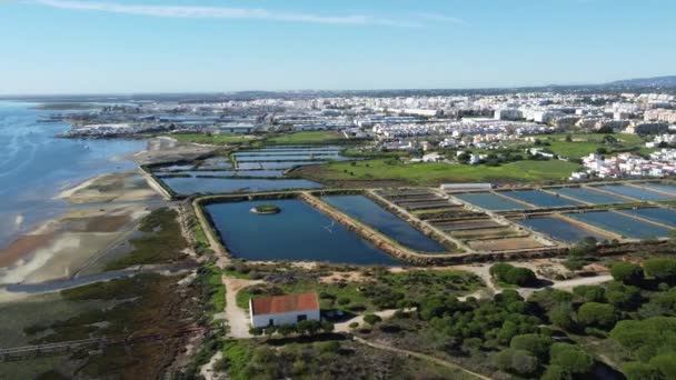 Park naturalny, solniczki i białe miasto Olhao, Algarve, Portugalia — Wideo stockowe