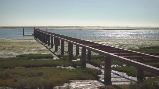 Ria Formosa Doğal Parkı Olhao Portekiz Terk Edilmiş Bir Iskele — Stok video