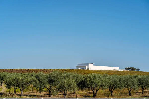 Oktober 2020 Campo Maior Portugal Wijnhuis Adega Mayor Alentejo — Stockfoto