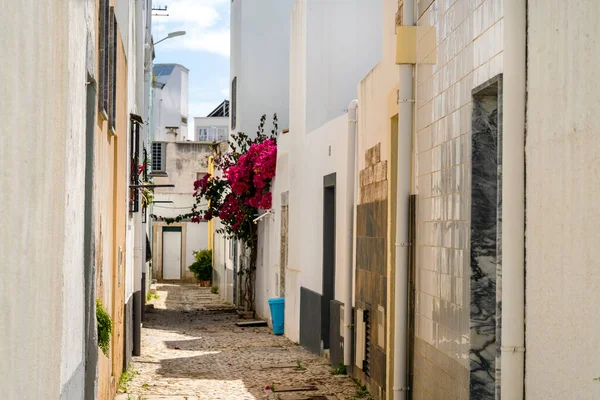 Calle Estrecha Con Casas Blancas Flores Olhao Algarve Portugal — Foto de Stock