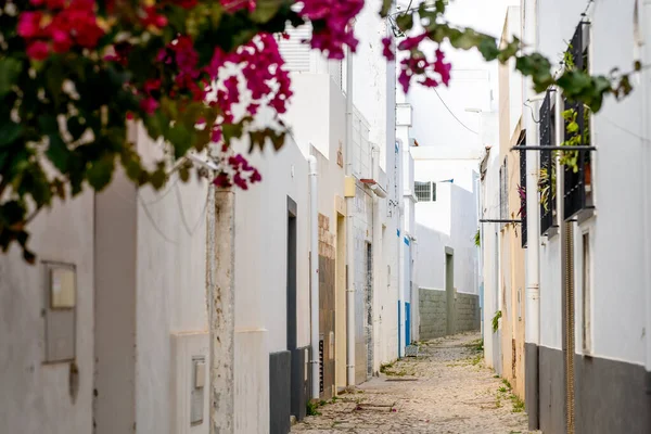Calle Estrecha Con Casas Blancas Flores Olhao Algarve Portugal — Foto de Stock