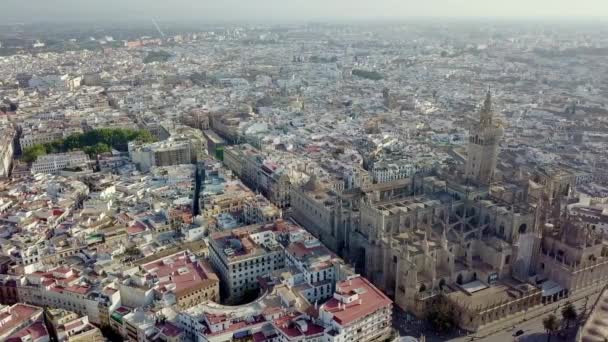 Aerial View Seville Hatalmas Katedrális Sevilla Spanyolország — Stock videók