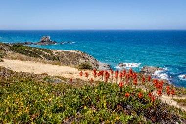 Güzel manzara ve deniz manzarası Zambujeira Do Mar, Vicentina Sahili Doğal Parkı, Alentejo, Portekiz