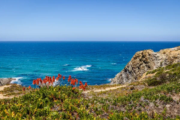 Prachtig Landschap Zeegezicht Zambujeira Mar Natuurpark Vicentina Coast Alentejo Portugal — Stockfoto