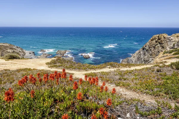 Beautiful Landscape Seascape Zambujeira Mar Vicentina Coast Natural Park Alentejo — Stock Photo, Image