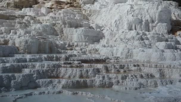 Piscina geotermal en Mammoth Hot Springs, Parque Nacional Yellowstone — Vídeos de Stock