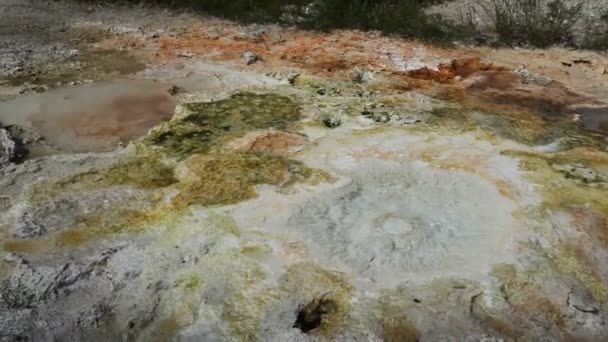 Geothermische zwembad in mammoet warme bronnen, het nationaal park yellowstone — Stockvideo