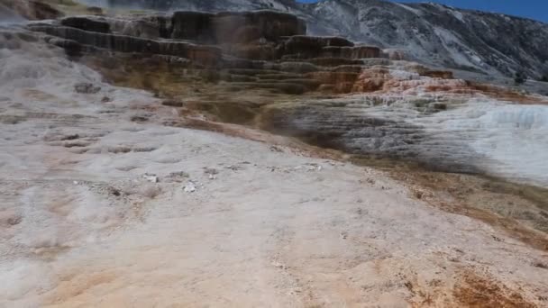 Geotermalny puli w mamuta gorących źródeł, park narodowy yellowstone — Wideo stockowe