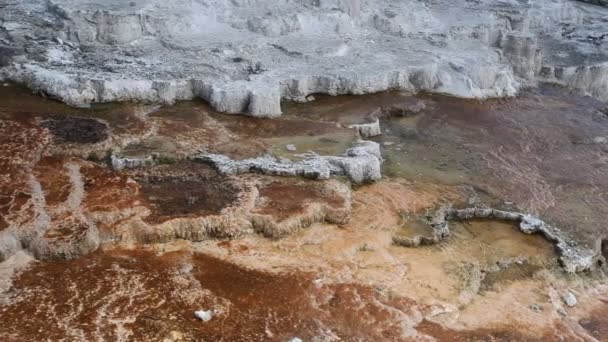 Geothermische zwembad in mammoet warme bronnen, het nationaal park yellowstone — Stockvideo