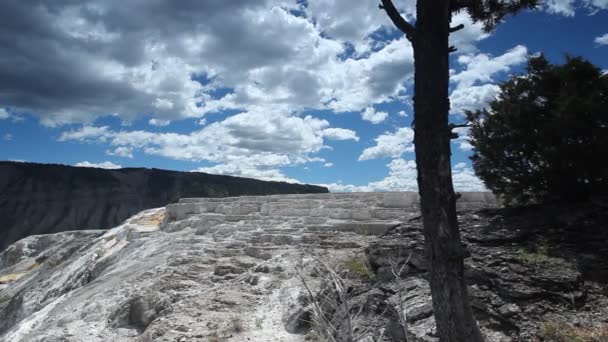 Piscina geotermal en Mammoth Hot Springs, Parque Nacional Yellowstone — Vídeos de Stock