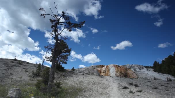 Jeotermal havuzu mamut hot Springs, yellowstone Milli Parkı — Stok video