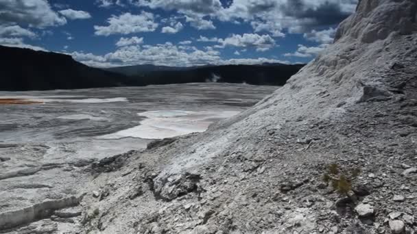 Геотермальна басейн в мамонт гарячих джерел, Єллоустоунський національний парк — стокове відео