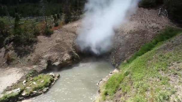 Dragon 's Mouth, Mud Volcano Pool, Yellowstone National Park — стоковое видео