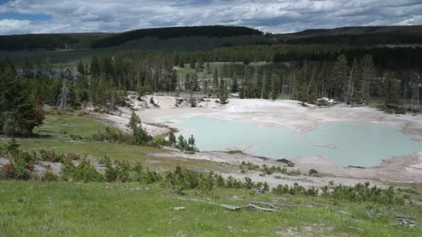 Piscine géothermique, volcan Mud, parc national Yellowstone — Video