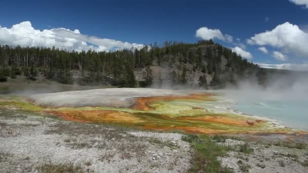 Grande primavera prismatica nel Parco Nazionale di Yellowstone — Video Stock