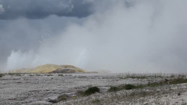 Gejzer clepsydra w parku narodowym yellowstone — Wideo stockowe