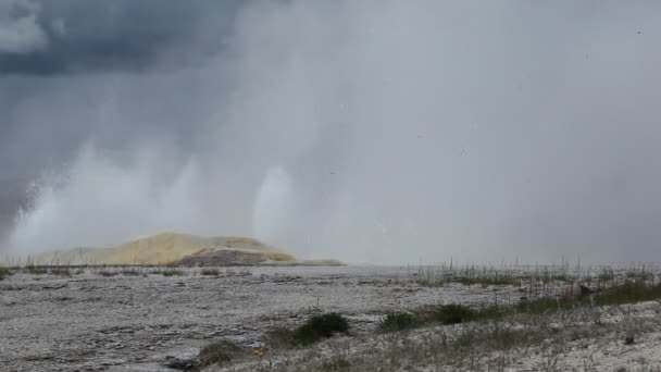 Clepsydra Geyser in Yellowstone National Park — Stock Video