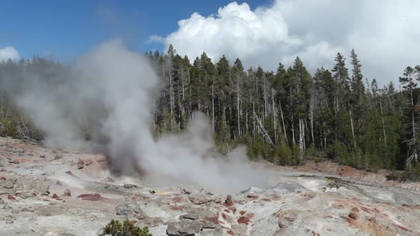 Geyser barco a vapor no Parque Nacional de Yellowstone — Vídeo de Stock