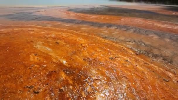 Grote Prismatische Lente in Yellowstone National Park — Stockvideo