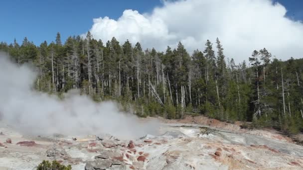 Steamboat Geyser en el Parque Nacional de Yellowstone — Vídeos de Stock