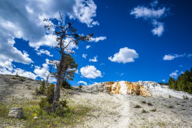 Mamut Kaplıcaları, Yellowstone Ulusal Parkı