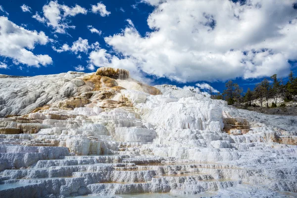 Mamut Hot Springs, Park Narodowy Yellowstone — Zdjęcie stockowe