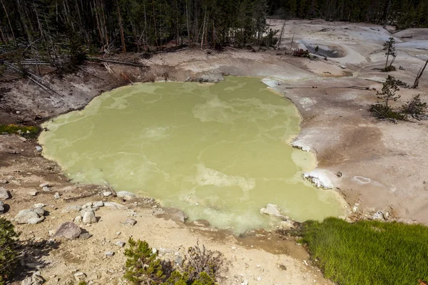 Sulphur Caldron, Yellowstone National Park, Wyoming — Stock Photo, Image