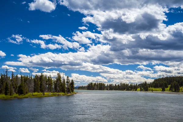 Rivier en forest landschap — Stockfoto